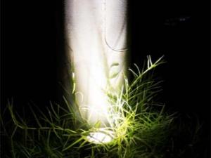 Iluminación LED para jardines